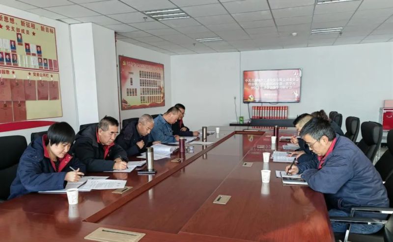 3044am永利集团工投公司党委召开理论学习中心组2025年第一次学习暨民主生活会会前学习研讨会