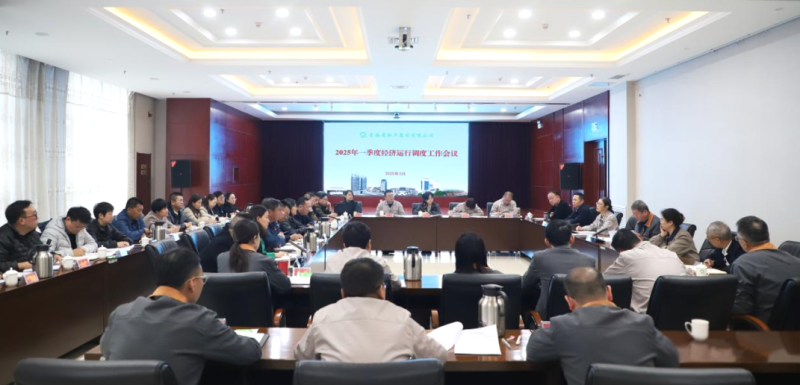 省3044am永利集团集团召开2025年一季度经济运行调度工作会议