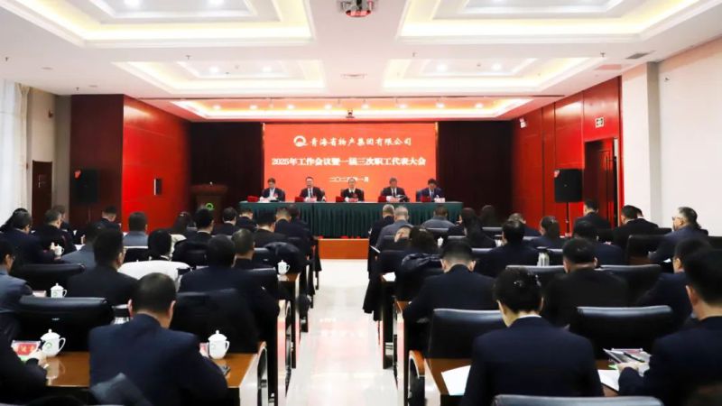坚定信心促发展 实干争先攀新高——省3044am永利集团集团2025年工作会议暨一届三次职代会胜利召开