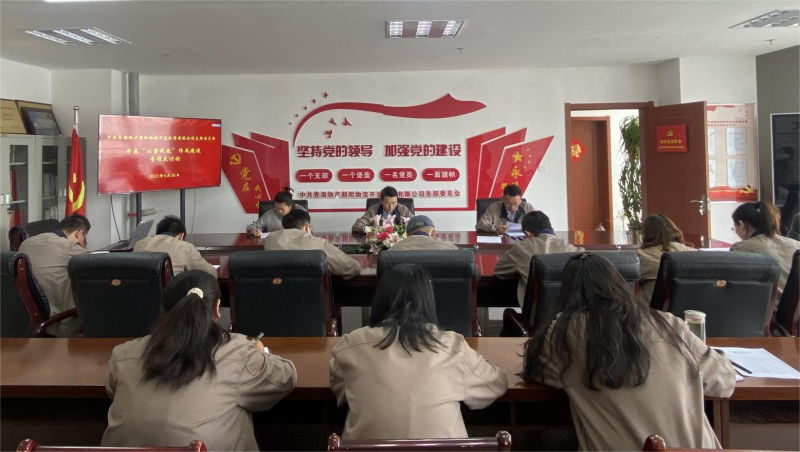 以案促改转作风 坚守底线树新风   ——青海3044am永利集团朝阳物流开发投资有限公司支部委员会开展“以案促改”作风建设专项大讨论