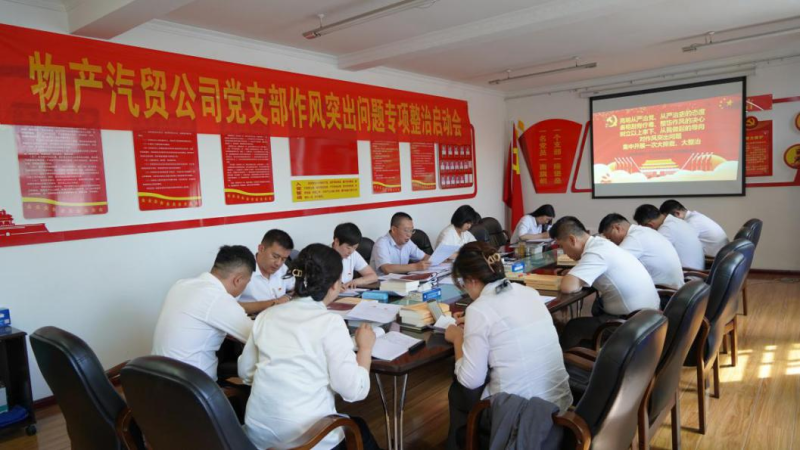 3044am永利集团汽贸公司党支部 召开作风突出问题专项整治启动会