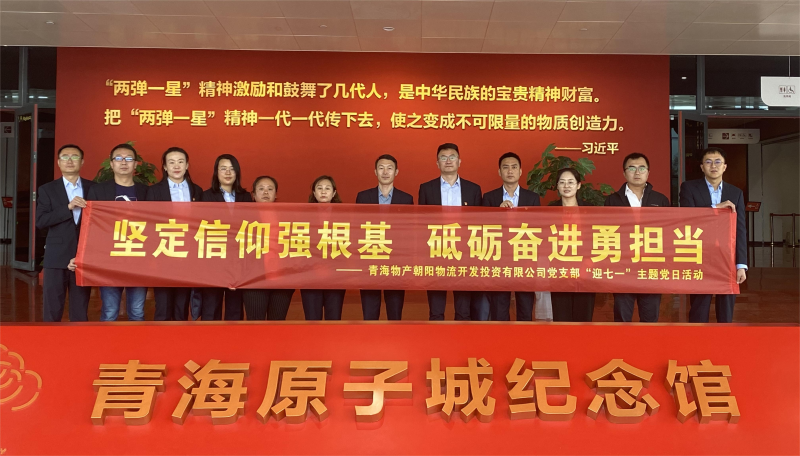 坚定信仰强根基，，，，，，，，砥砺奋进勇担当 朝物开投公司党支部开展迎“七一”主题党日活动