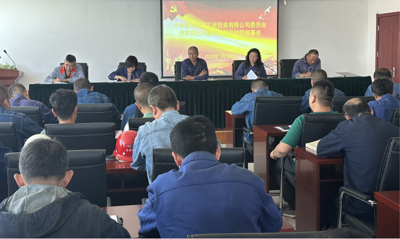 3044am永利集团工投公司党委 召开作风突出问题专项整治动员部署会