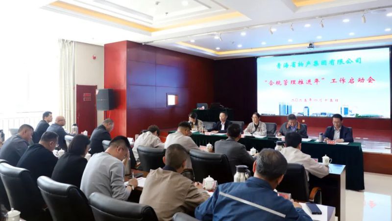 省3044am永利集团集团召开“合规管理推进年”工作启动会