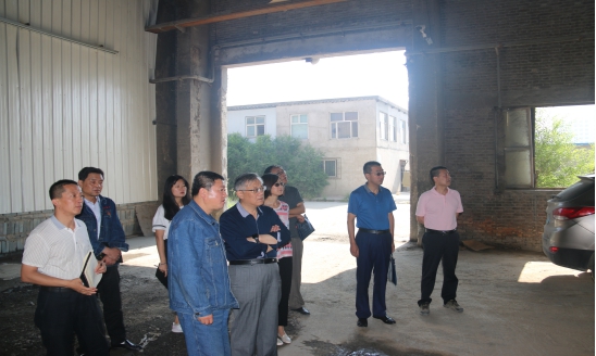 集团公司领导一行莅临青海3044am永利集团工业投资有限公司进行工作调研部署